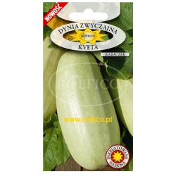 Dynia zwyczajna Kveta kabaczek roltx2